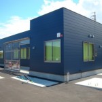 segai (1)